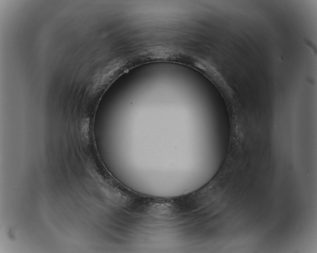 X0000103420066200809121316
