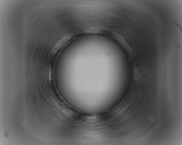 X0000103420068200809121316