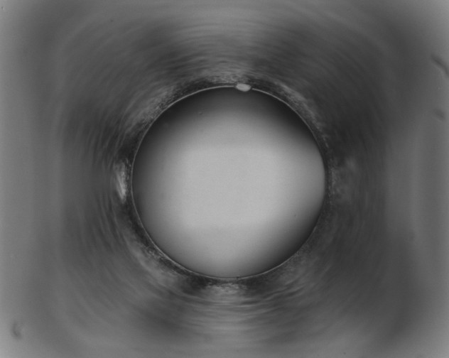 X0000103420069200809121316