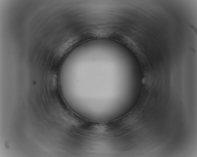 X0000103420071200809121316