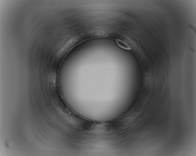 X0000103420072200809121316