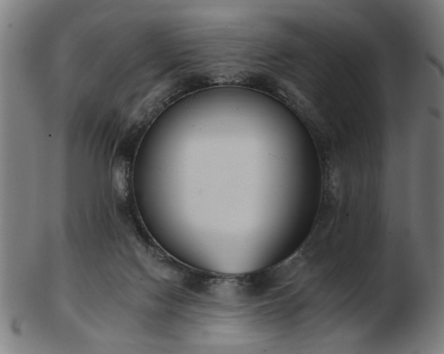 X0000103420074200809121316