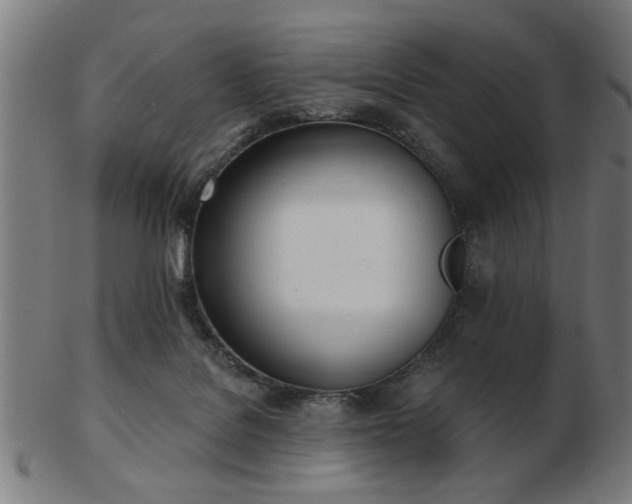 X0000103420076200809121317