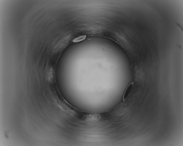 X0000103420077200809121317
