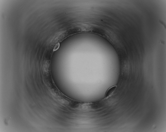 X0000103420078200809121317