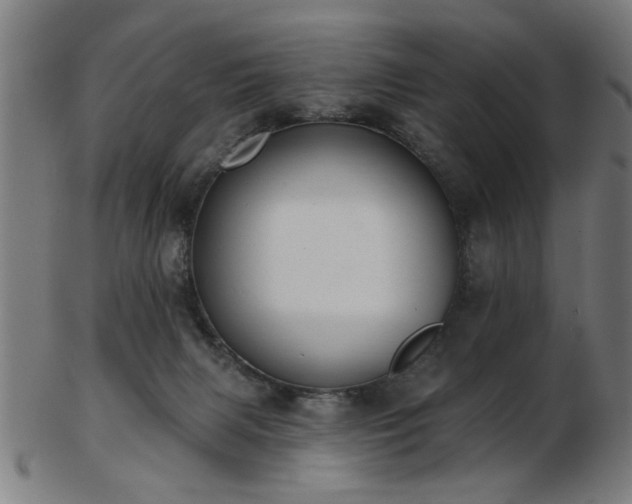 X0000103420079200809121317