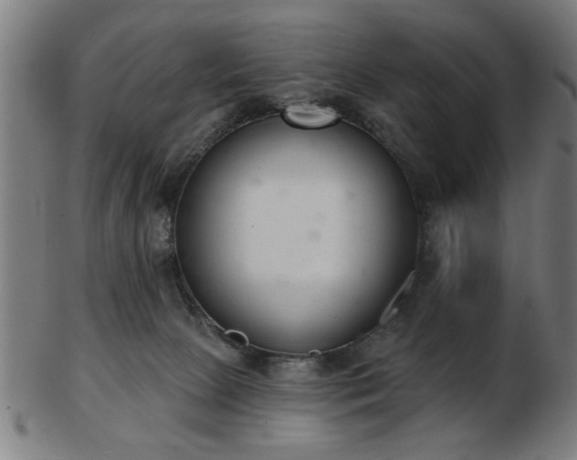 X0000103420081200809121317