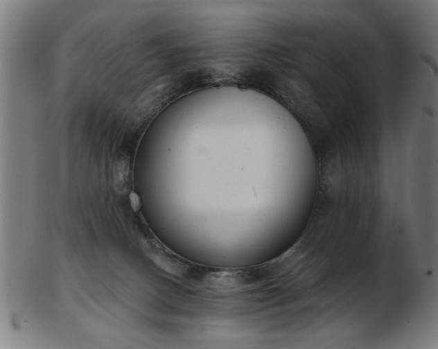 X0000103420082200809121317