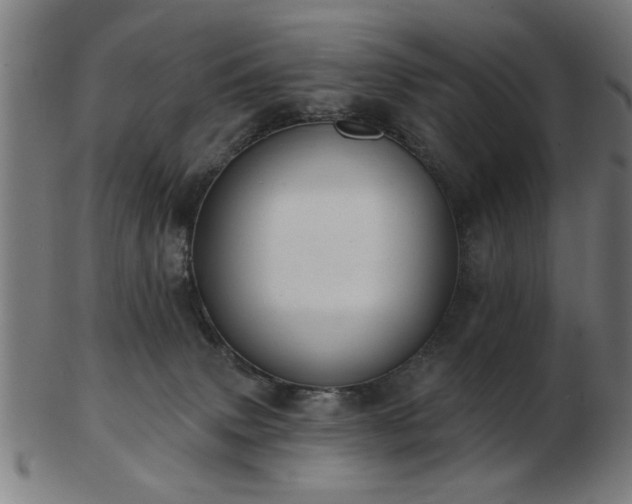 X0000103420083200809121317