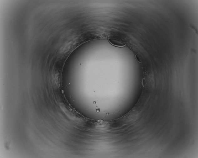 X0000103420088200809121317