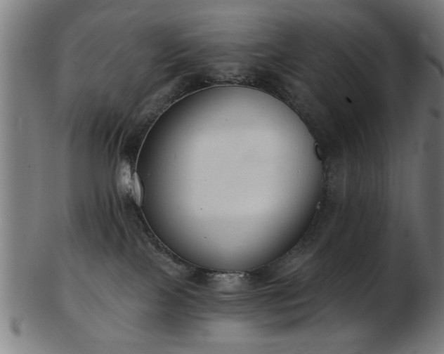 X0000103420089200809121317