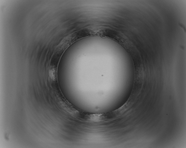 X0000103420090200809121317
