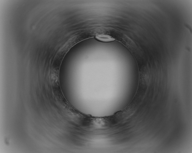 X0000103420091200809121317
