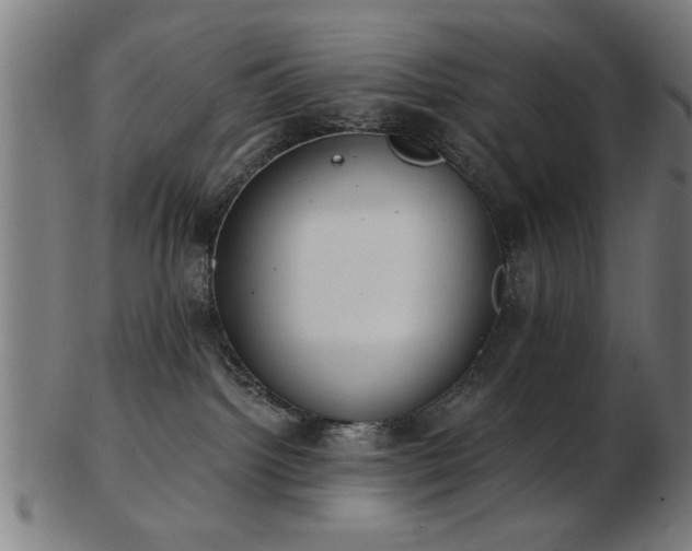 X0000103420092200809121317