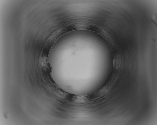 X0000103420093200809121317