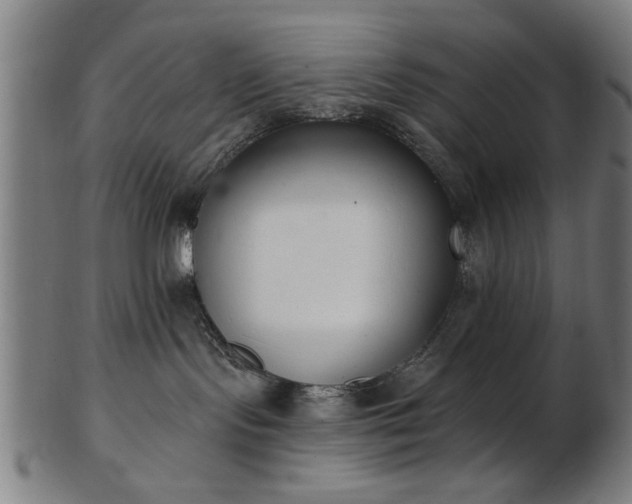 X0000103420095200809121317