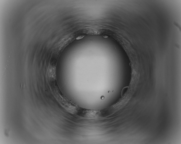 X0000103420096200809121317
