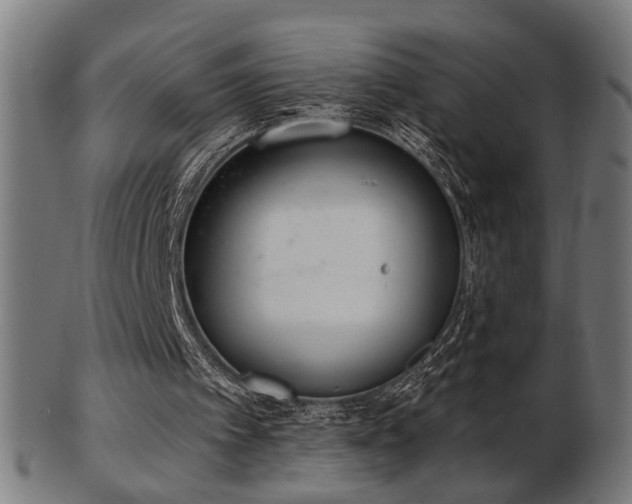 X0000103420097200809121316