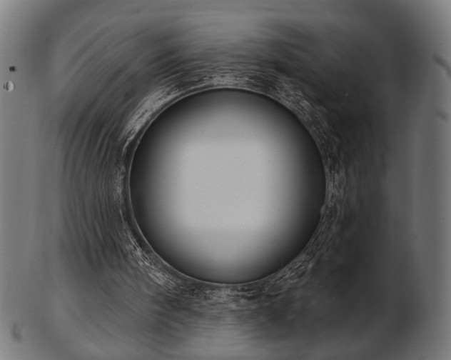 X0000103420098200809121316