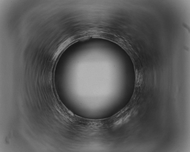 X0000103420099200809121316
