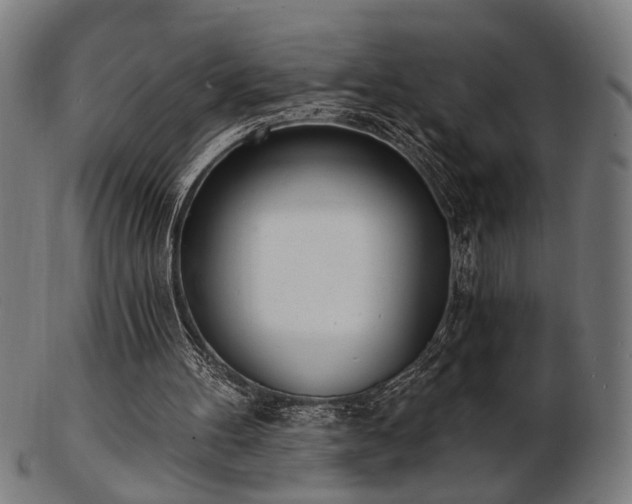 X0000103420100200809121316