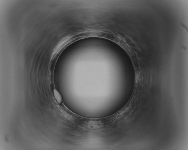 X0000103420101200809121316