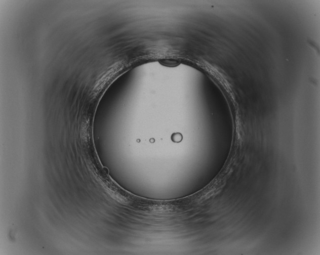 X0000103420105200809121316