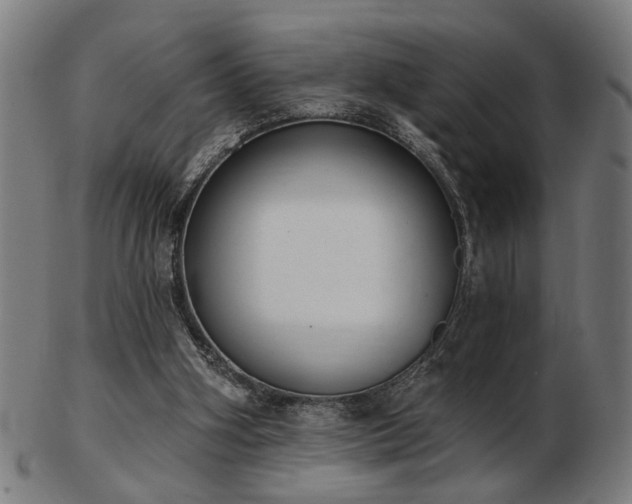X0000103420106200809121316