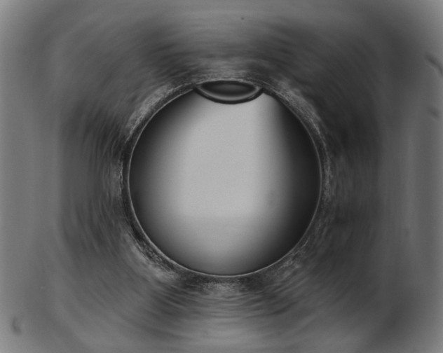 X0000103420107200809121316
