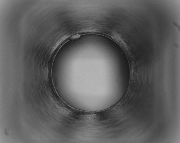X0000103420108200809121316