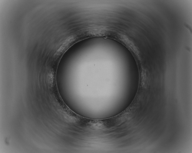 X0000103420113200809121316
