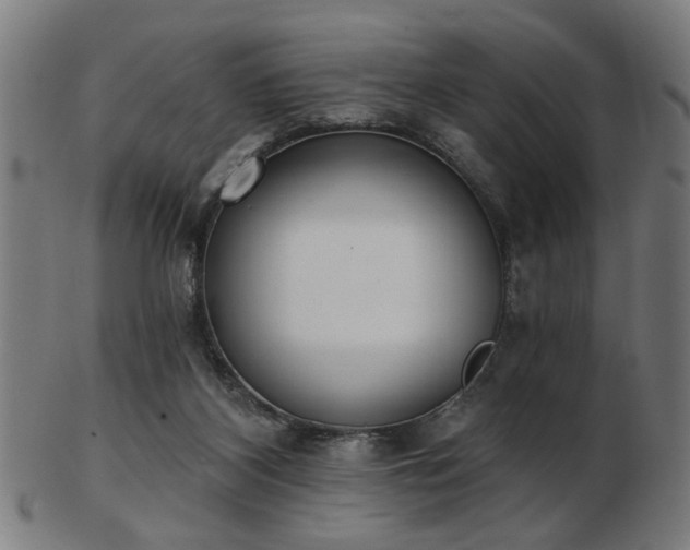 X0000103420116200809121316