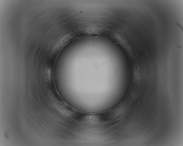 X0000103420117200809121316