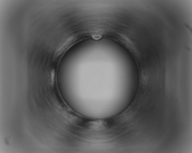 X0000103420118200809121316