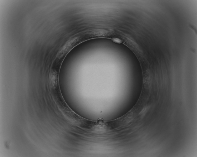 X0000103420119200809121316