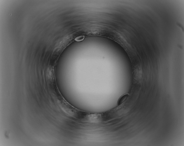 X0000103420126200809121316