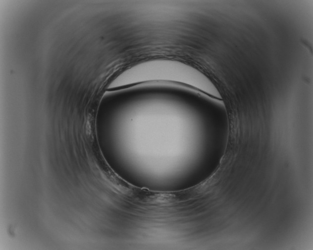 X0000103420128200809121316