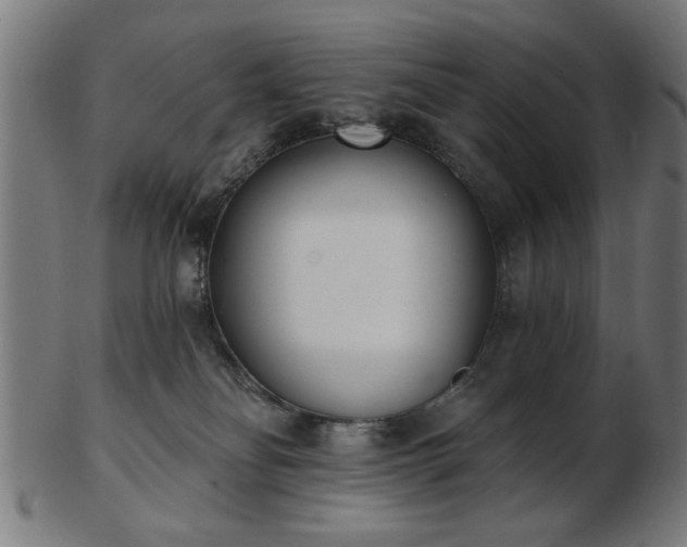 X0000103420134200809121316