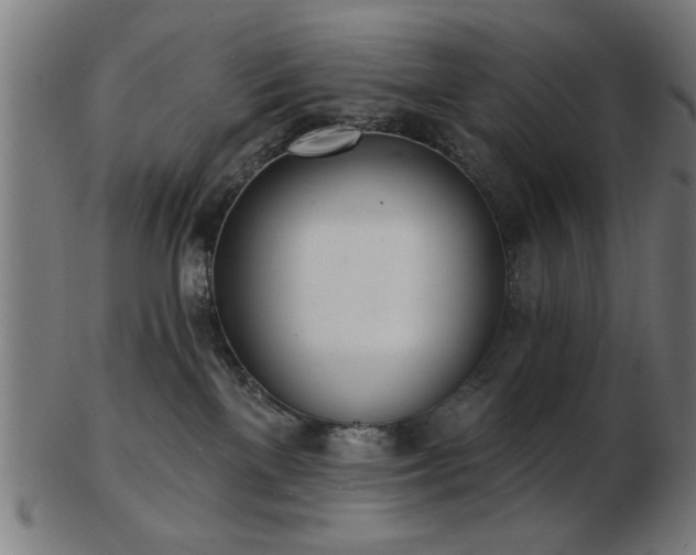 X0000103420137200809121316