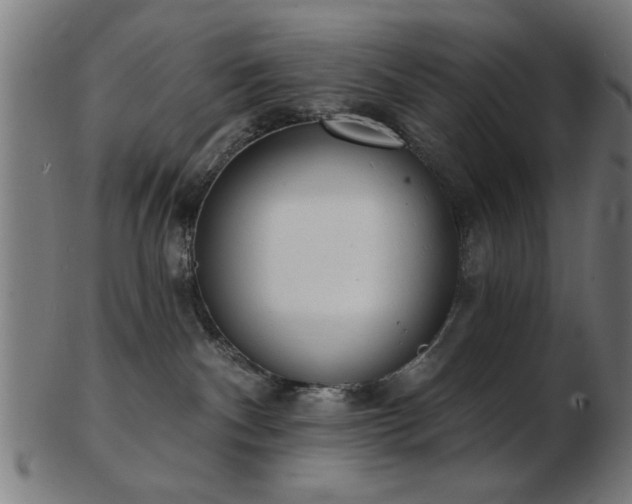 X0000103420140200809121316