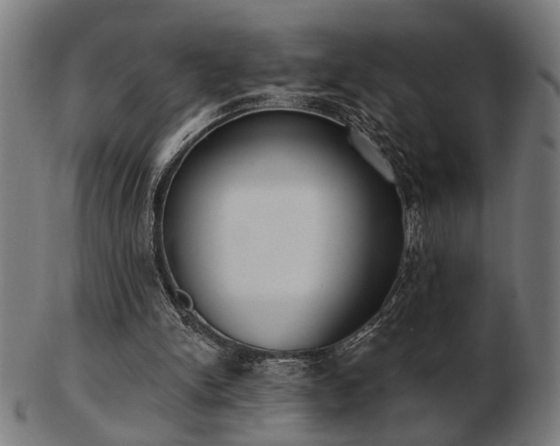 X0000103420150200809121315