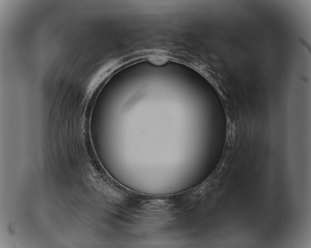 X0000103420151200809121315