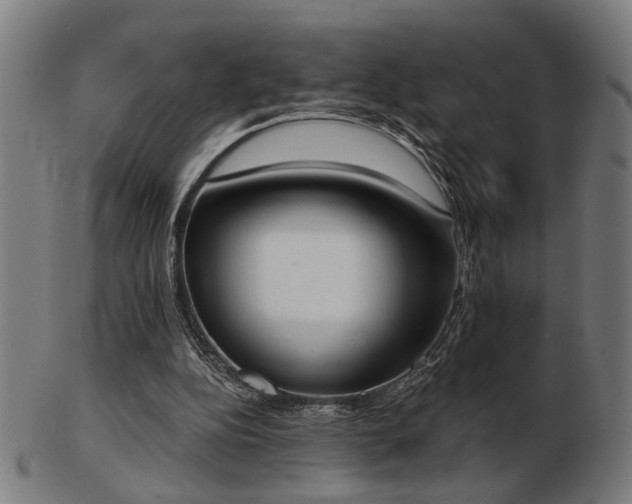 X0000103420152200809121315
