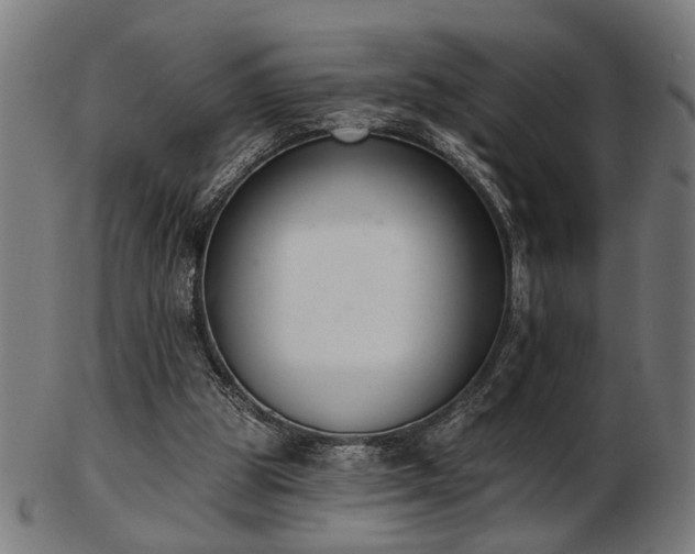 X0000103420153200809121315