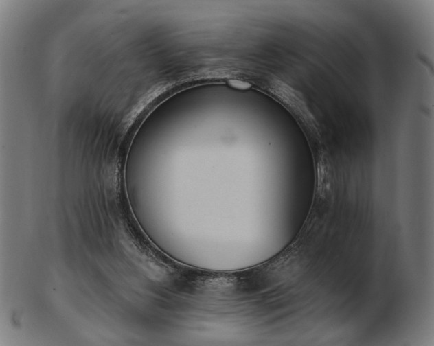 X0000103420156200809121315