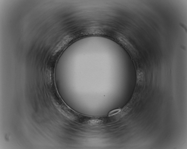 X0000103420158200809121315