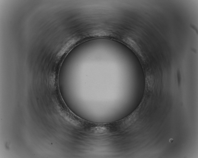 X0000103420159200809121315