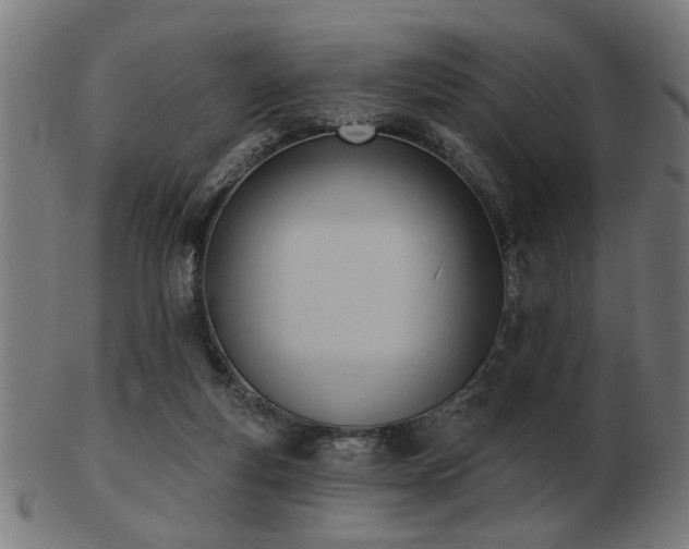 X0000103420163200809121315