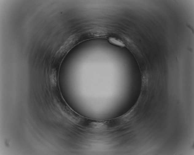 X0000103420170200809121315