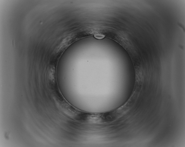 X0000103420175200809121315